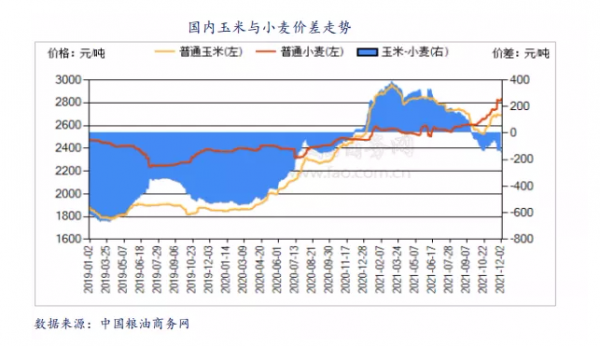 玉米5_20211224130115