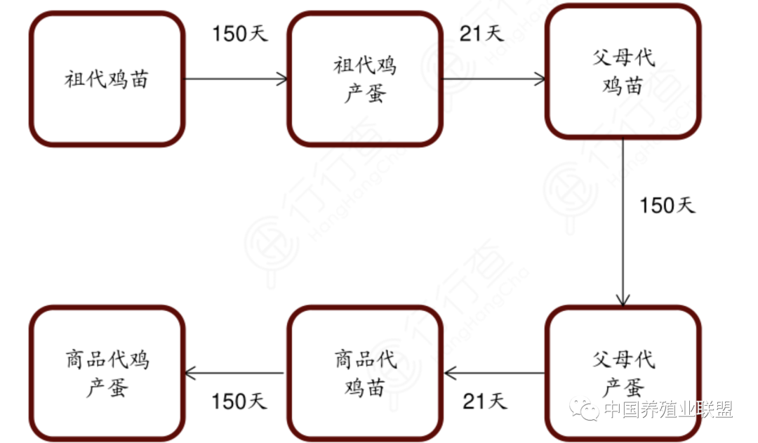 微信图片_20220707165737