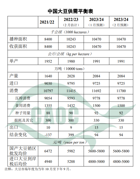 大豆_20240219111533