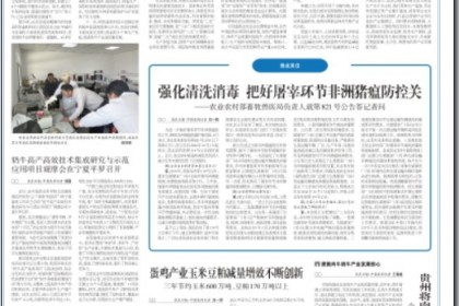 蛋鸡产业玉米豆粕减量增效不断创新